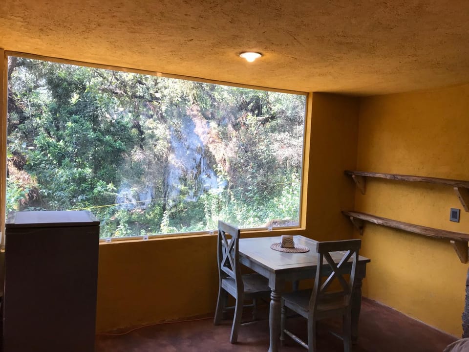 Dining area, Garden view, Garden view