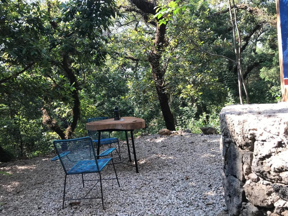 Garden, Balcony/Terrace