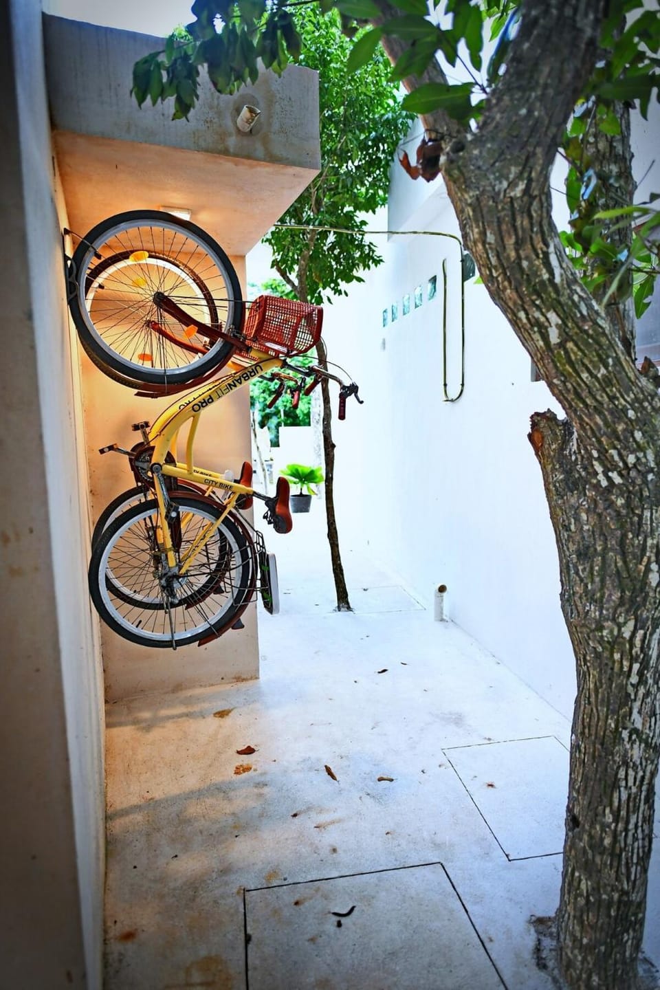 Luxury 5-br Oasis Golf, Private Pool, Beach! House in State of Quintana Roo