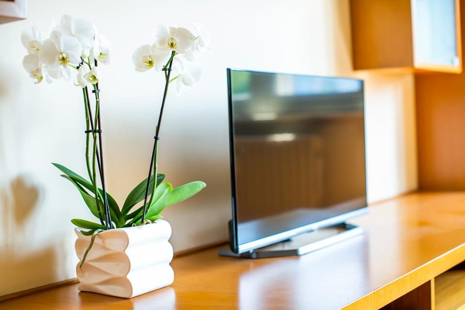 Communal lounge/ TV room, TV and multimedia