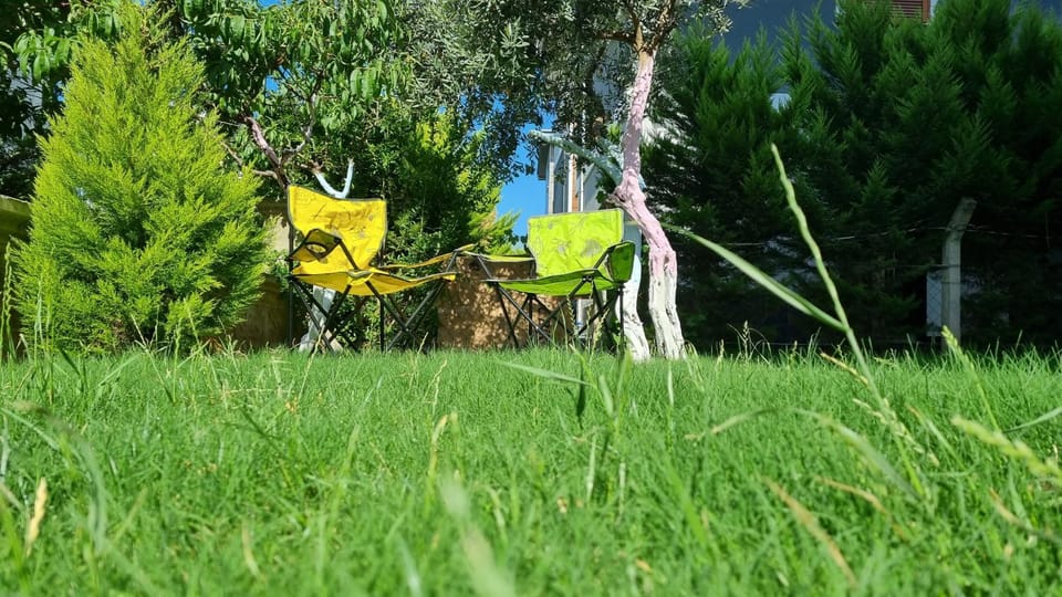 Spring, Day, Natural landscape, Garden, Garden, Balcony/Terrace, Garden view