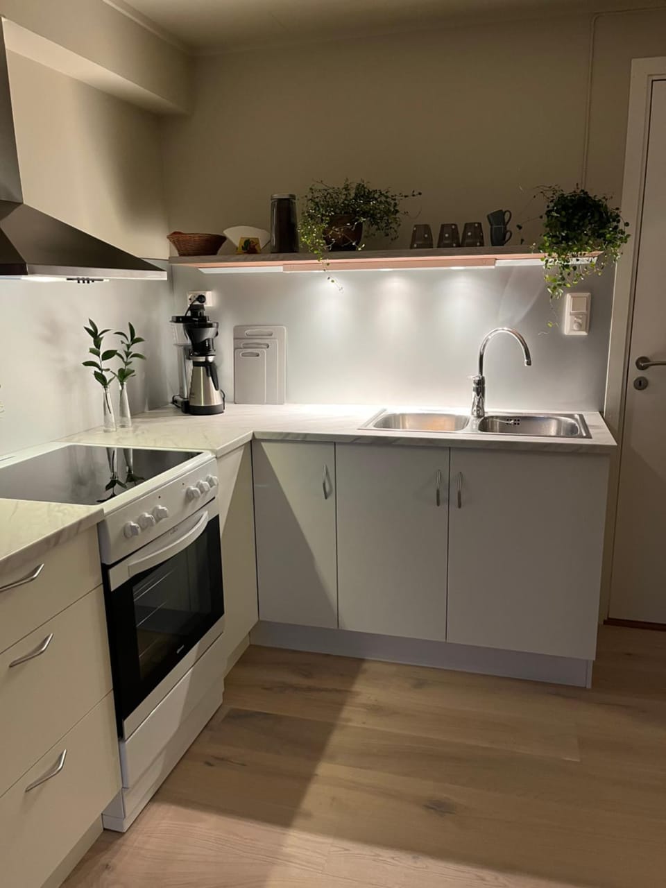 Kitchen or kitchenette, pet friendly