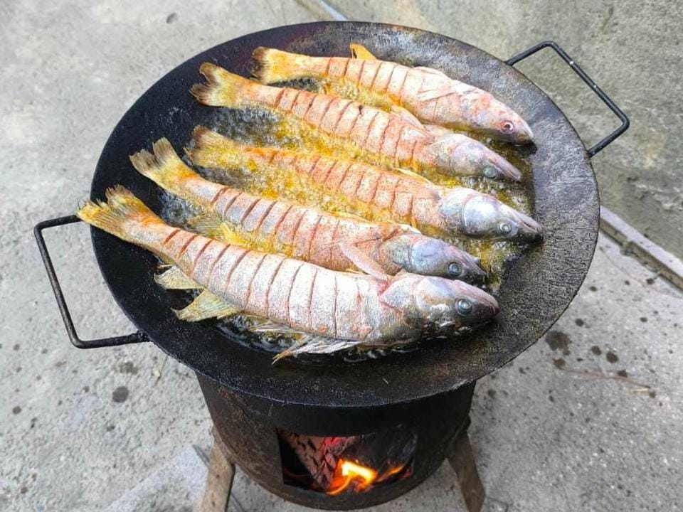 Vikendica DUNAV House in Novi Sad