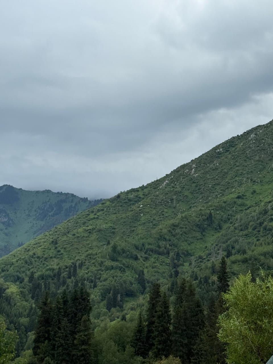 Eywa House Bed and Breakfast in Almaty