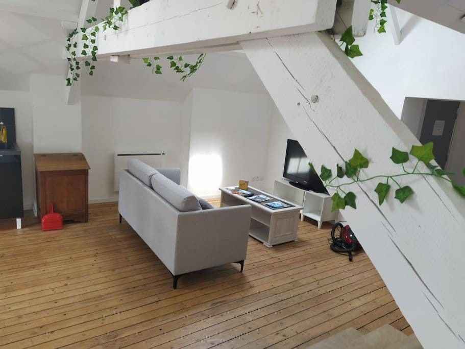 le loft de la place du marché Apartment in Nouvelle-Aquitaine