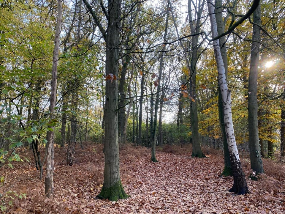 Day, Natural landscape, group of guests, group of guests