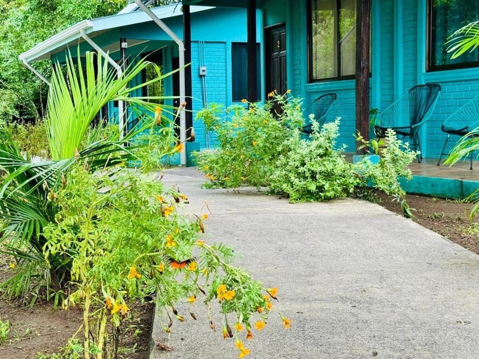 Property building, Day, Garden, Garden view