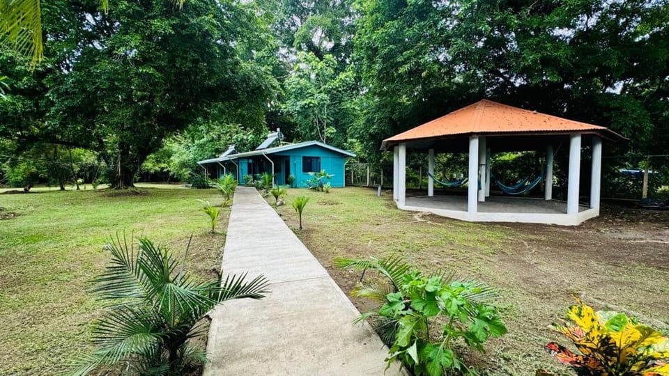 Day, Natural landscape, Garden, Garden view