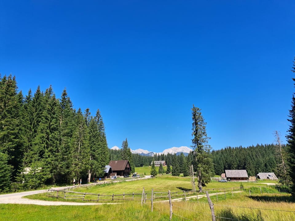 Mountain view