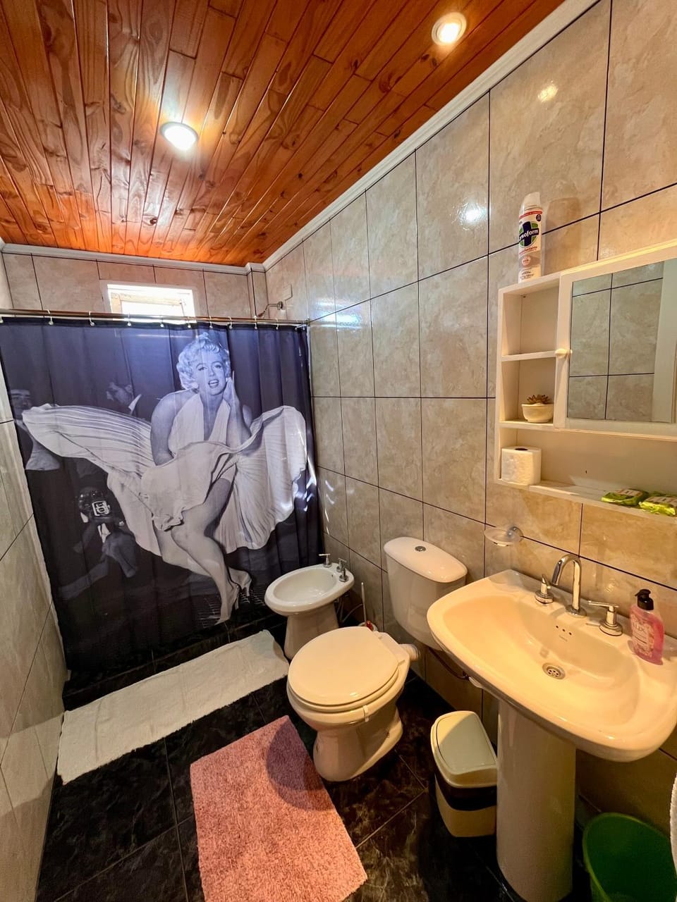 Apart Alberto II Apartment in Puerto Iguazú