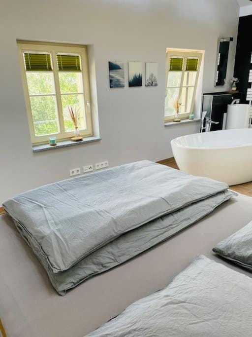 Traumvilla im Herzen Hainichens Apartment in Saxony