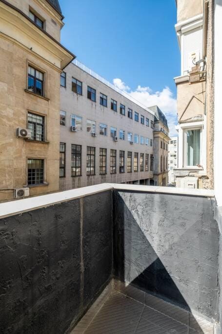 Stunning Luxury 3 Bedroom Apt in the Heart of Town Apartment in Sofia