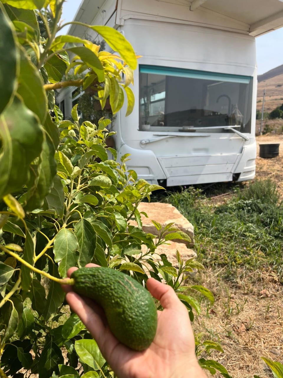 Leobus-לאו באס Campground/ 
RV Resort in North District