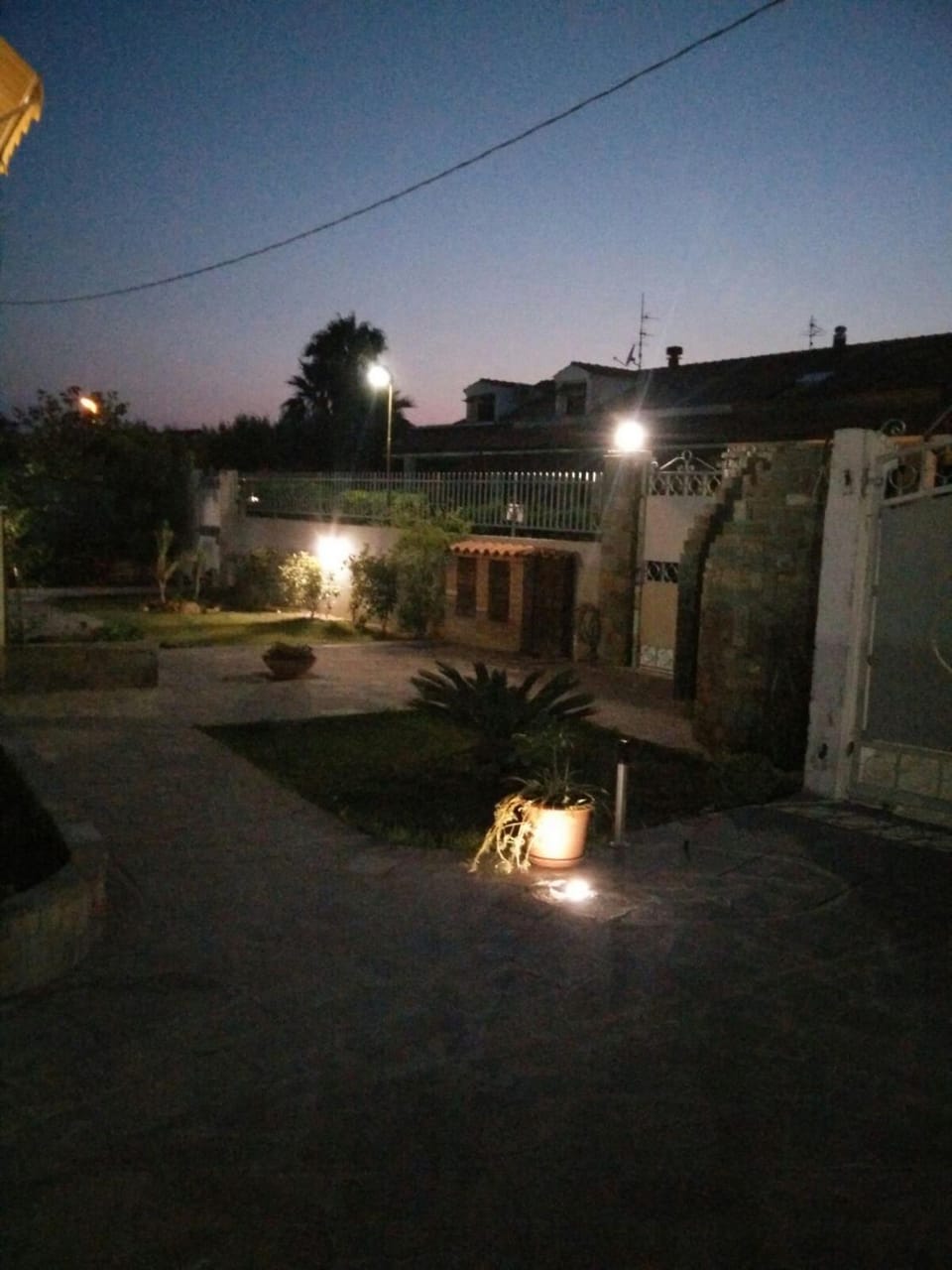 Garden, Sunset