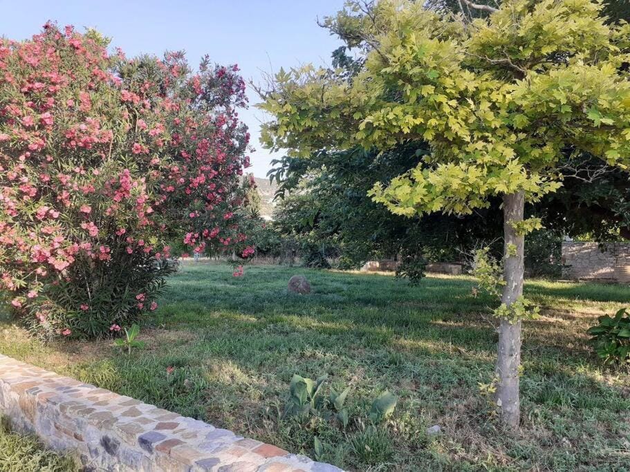 The architect House in Peloponnese Region