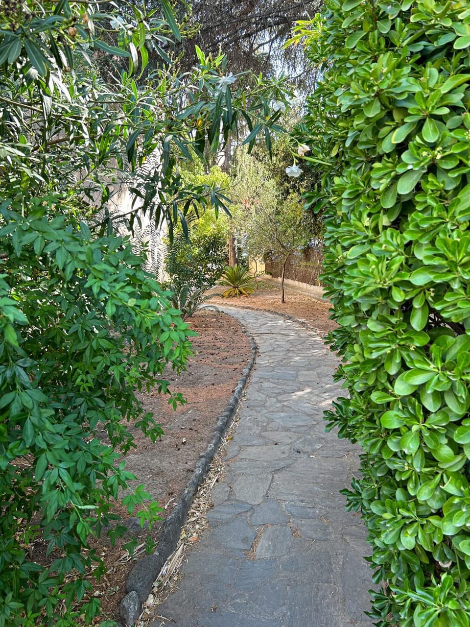 L'appart du Racou Apartment in Argeles-sur-Mer