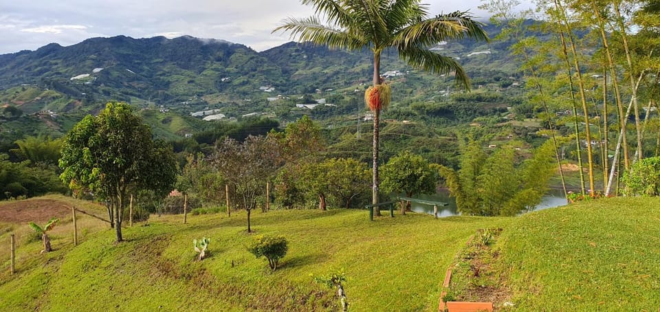 Finca Buena Vista Bed and Breakfast in Antioquia
