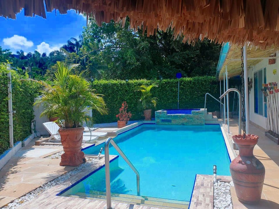 Day, Pool view, Swimming pool