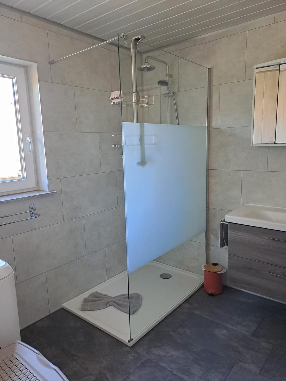 Bathroom, Living room