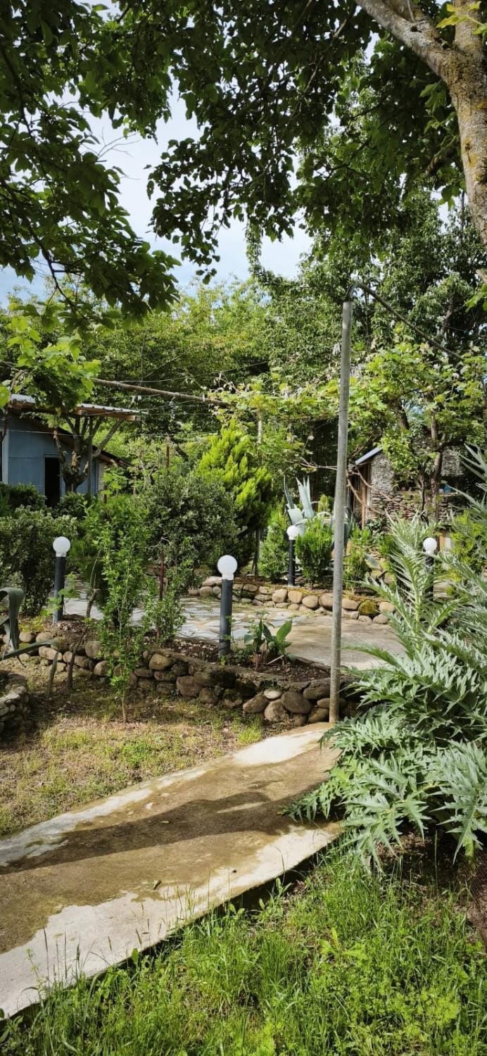 Mera Hostel Country House in Georgia