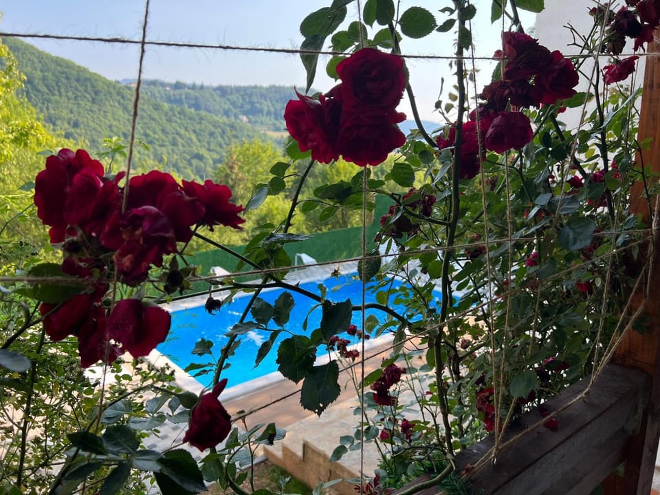 Garden, Mountain view, Pool view, Swimming pool