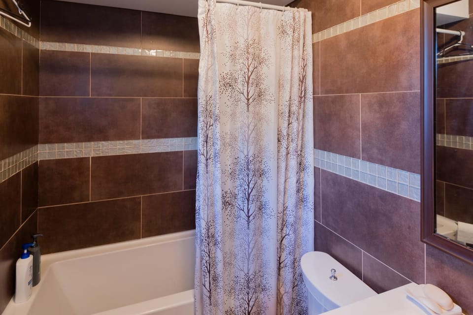 Shower, Toilet, Bathroom, Bath