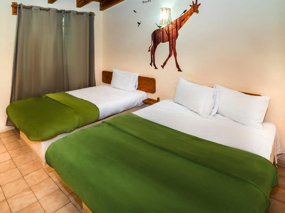 Bed, Photo of the whole room