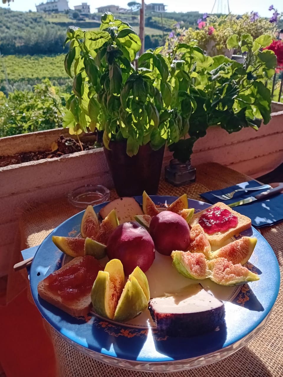 Poggio agli Ulivi vicolo di Colle Reti 22 Frascati Farm Stay in Frascati