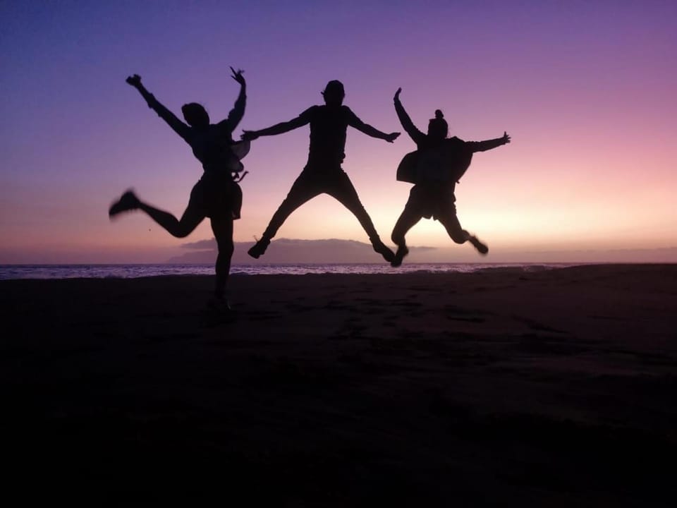 People, Sunset, group of guests