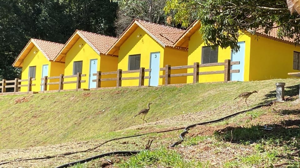 Natural landscape, Garden view