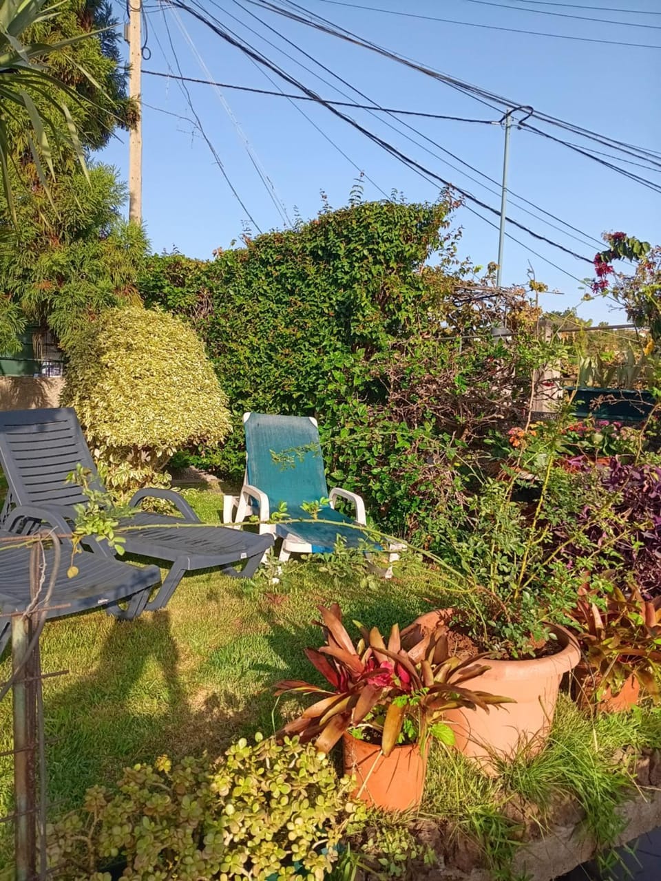 Natural landscape, Garden view