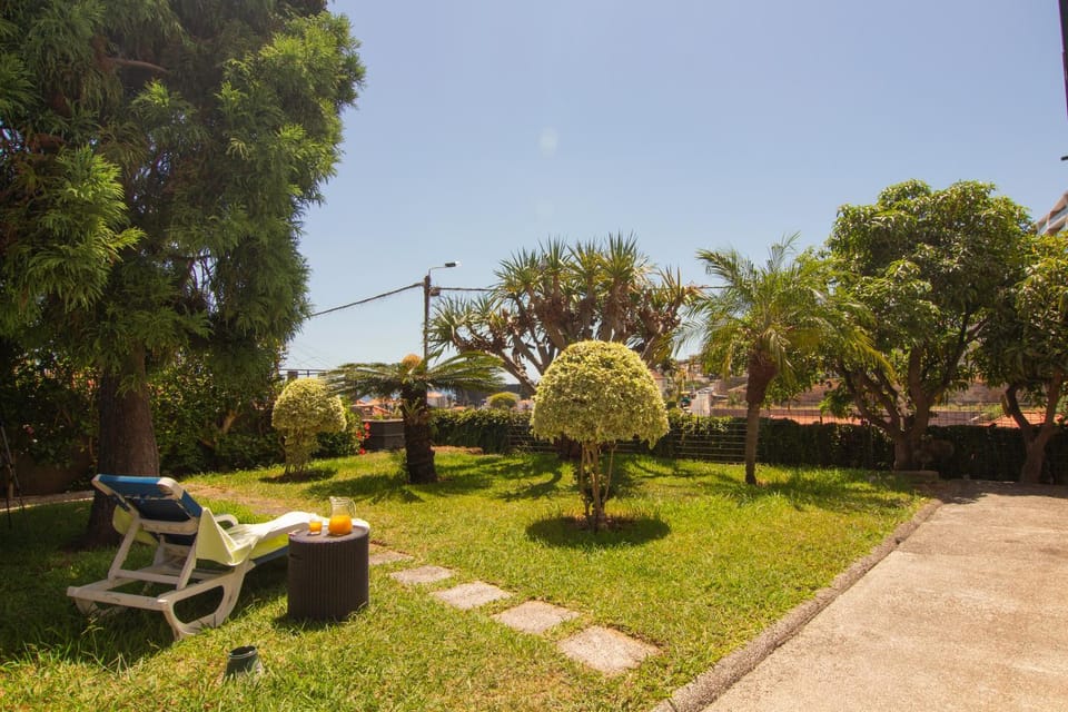 Spring, Day, Natural landscape, Garden, Garden, Garden view