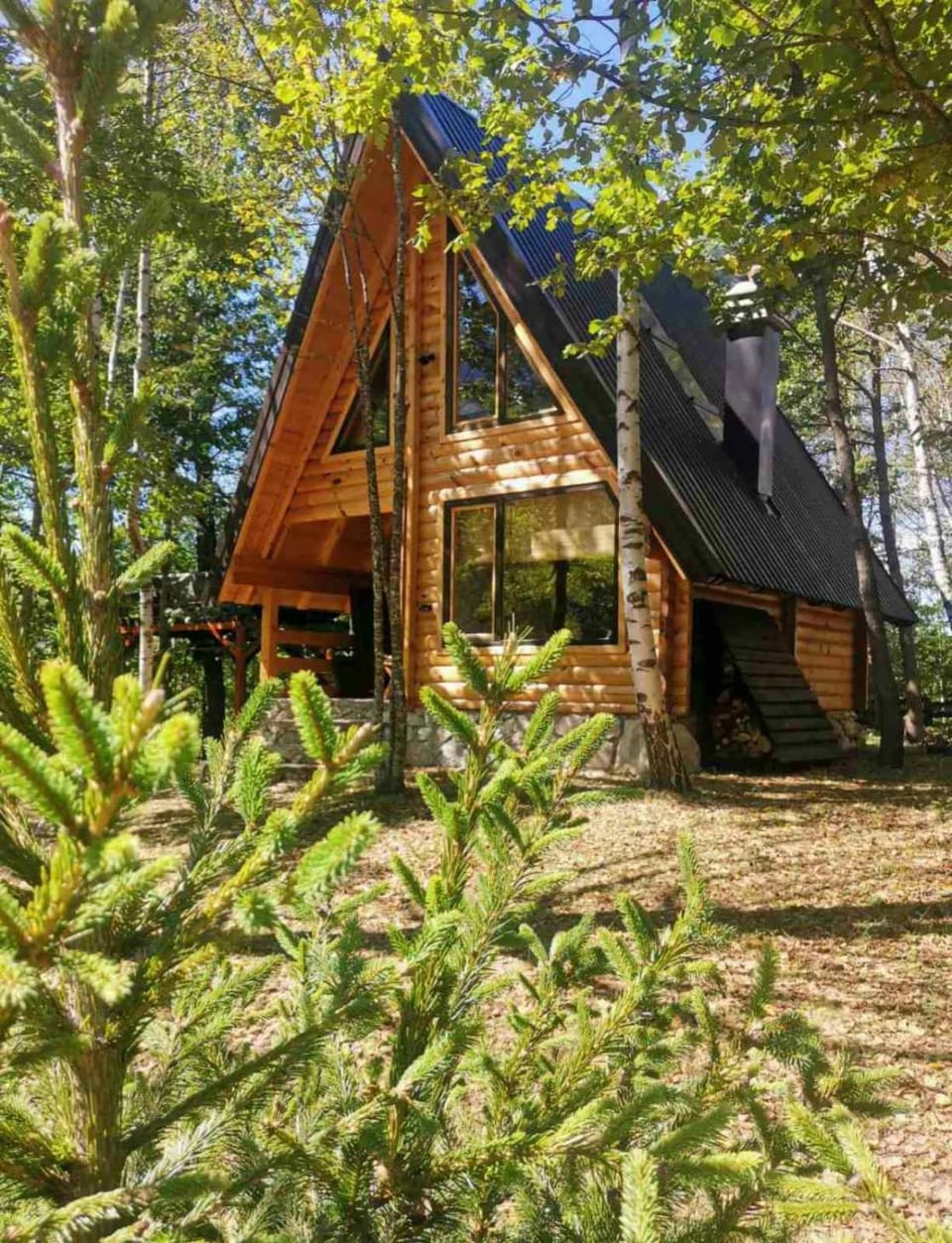 Forest Rhapsody Brezna House in Montenegro