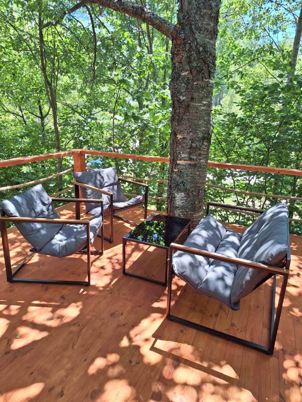 Forest Rhapsody Brezna House in Montenegro