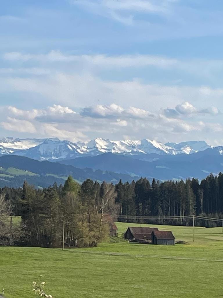 Stilvolles Ferienhaus Chalet 1750 im Allgäu - 200qm - beste Ausstattung - traumhafter Blick - bis 8 Personen House in Lindenberg im Allgäu