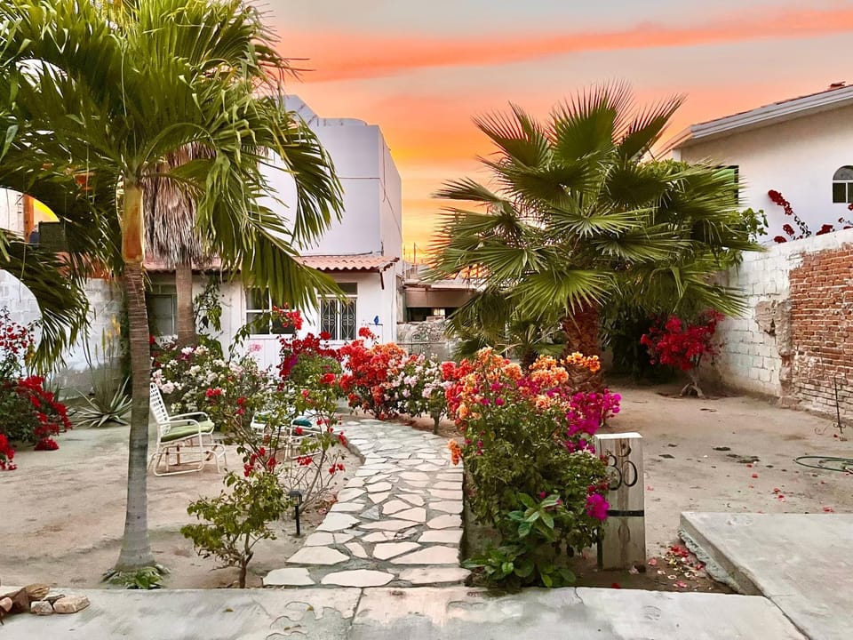 Patio, Day, Garden, Garden view