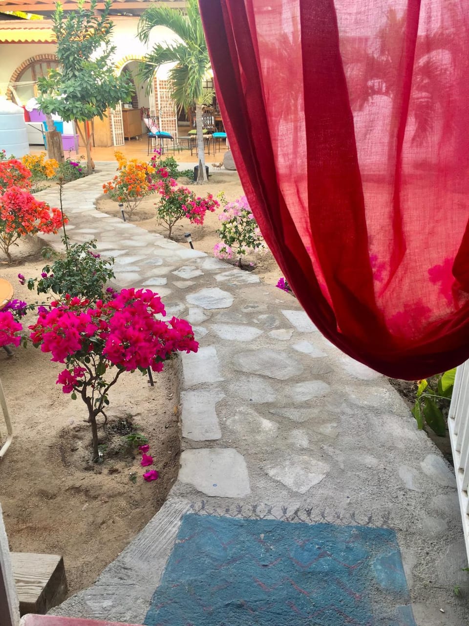 Garden view