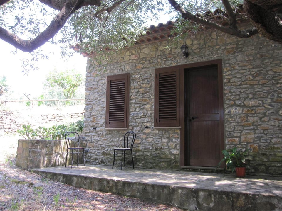 Patio, Facade/entrance, Day