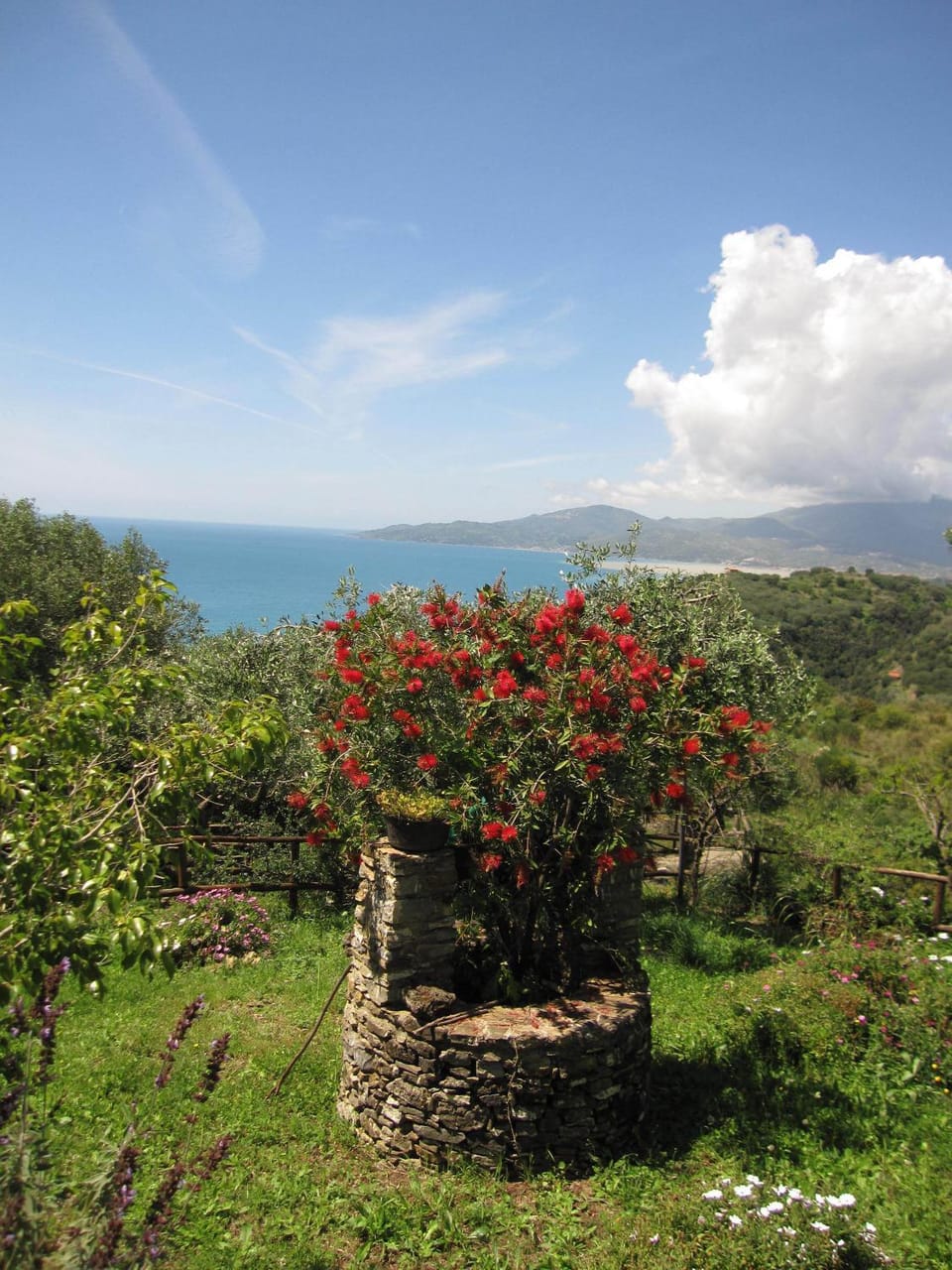 Spring, Natural landscape