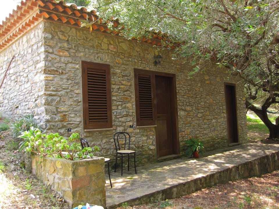 Patio, Facade/entrance, Day