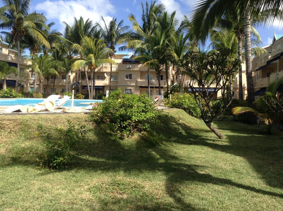 Garden, Swimming pool