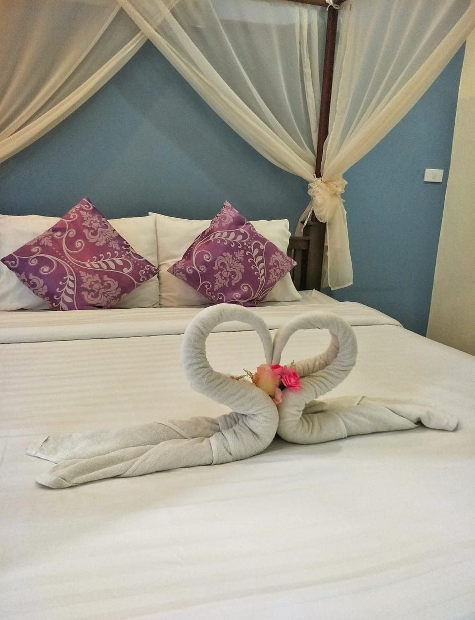 Bed