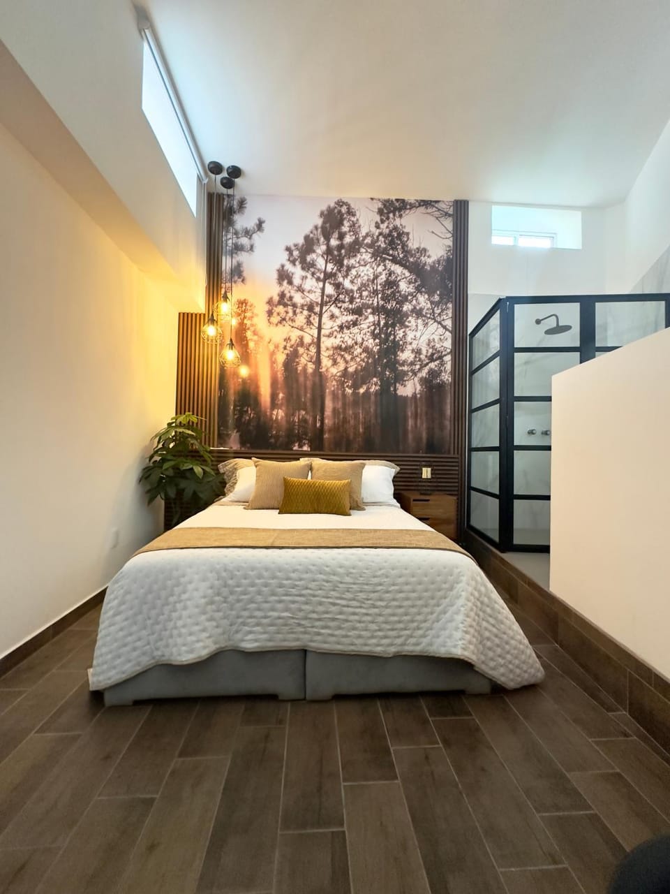 Bed, Photo of the whole room, Bedroom
