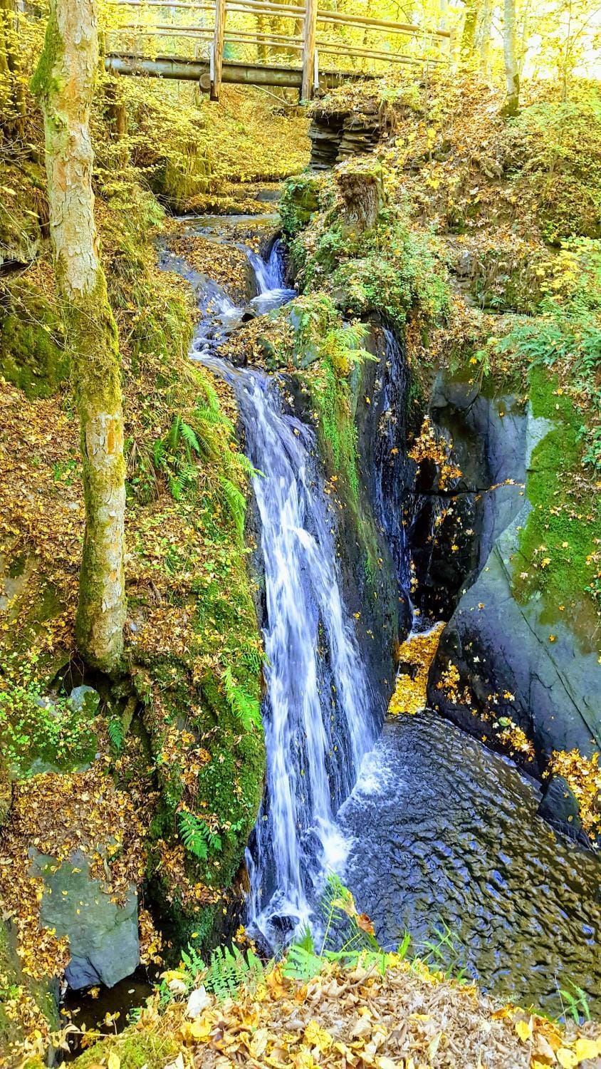 Natural landscape