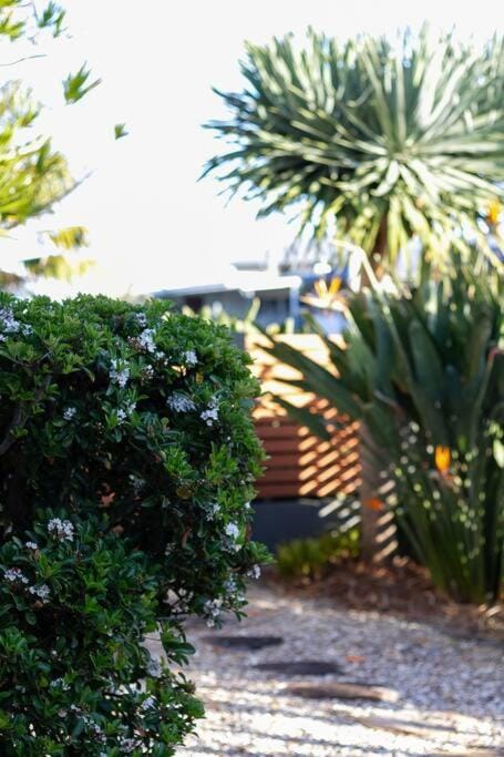 Bay Properties Pippi Beach Bungalow Apartment in Yamba
