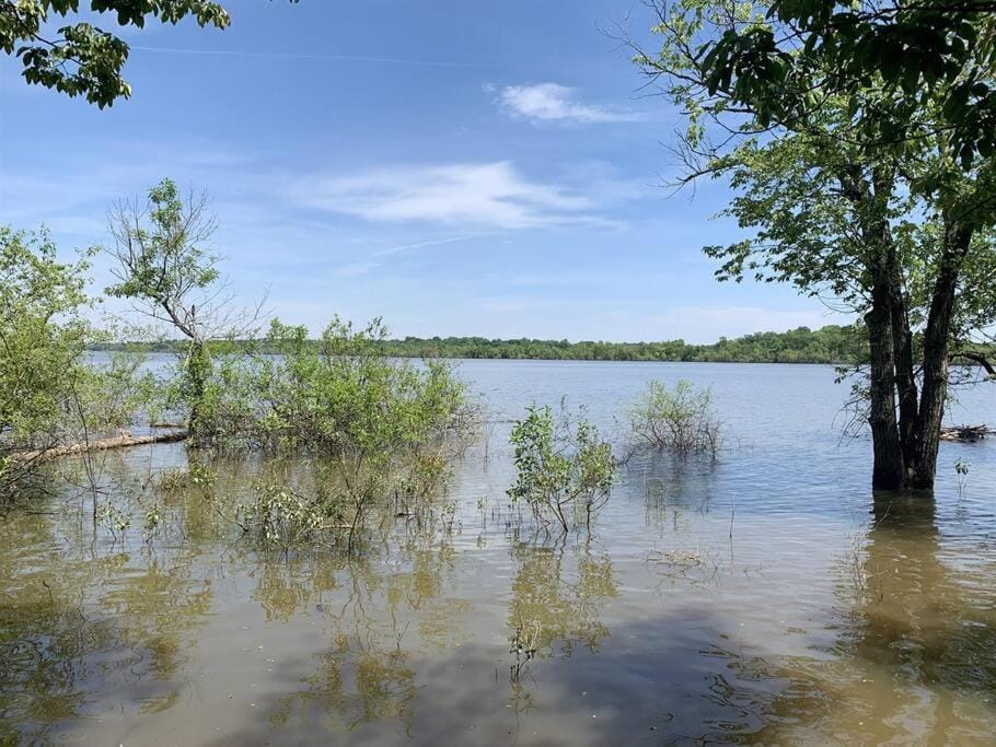 Cozy Cottage • King Bed • Grove • Kayaks • Boat Parking House in Grove