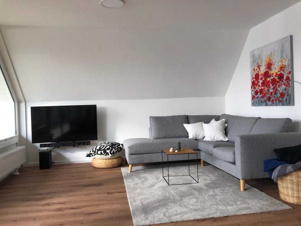 TV and multimedia, Living room