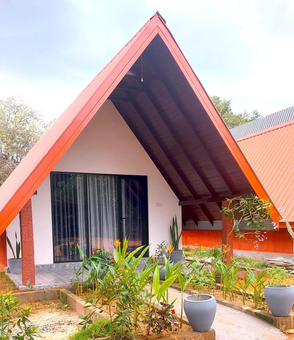 Property building, Day, Garden