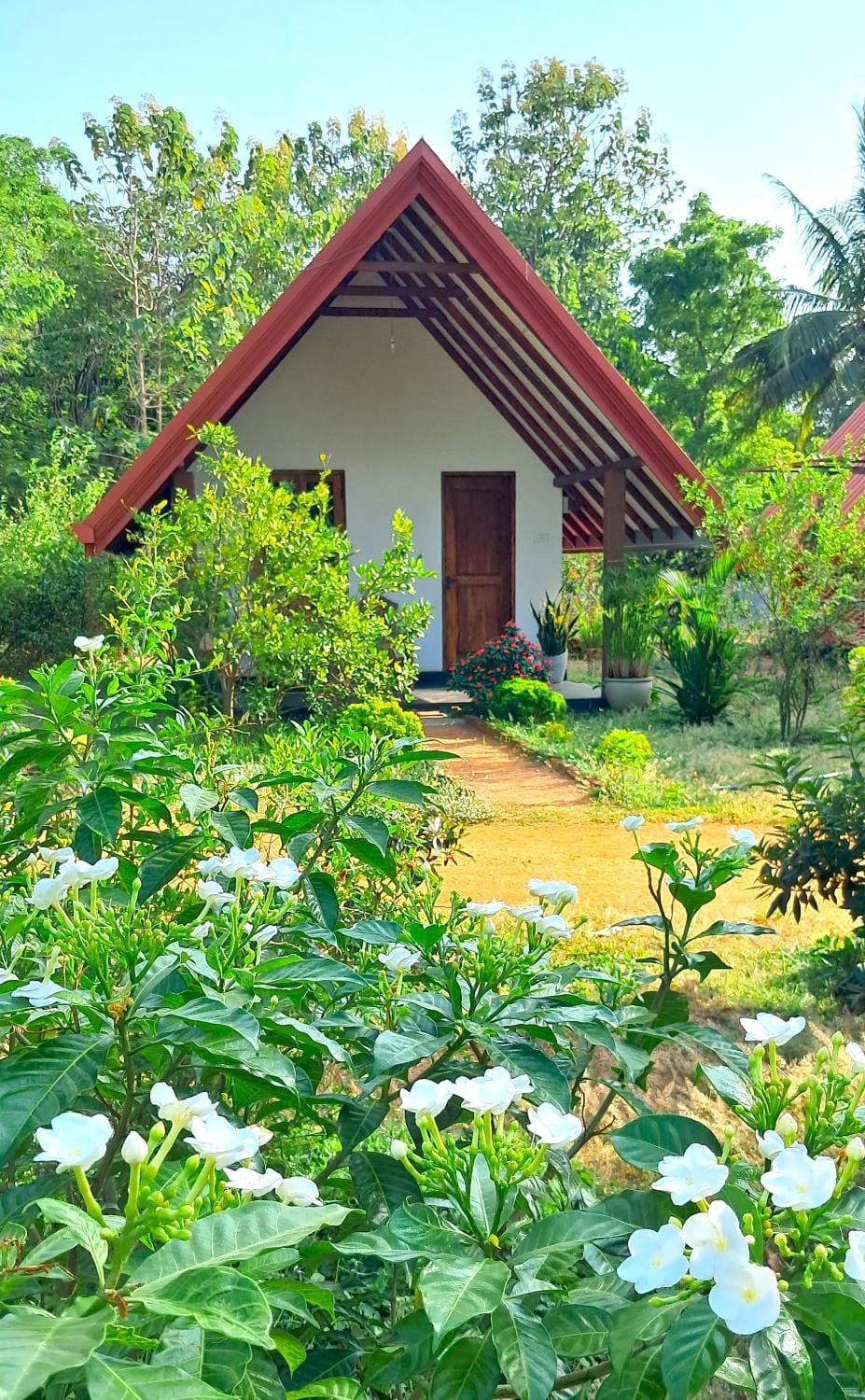Natural landscape, Garden, Garden view