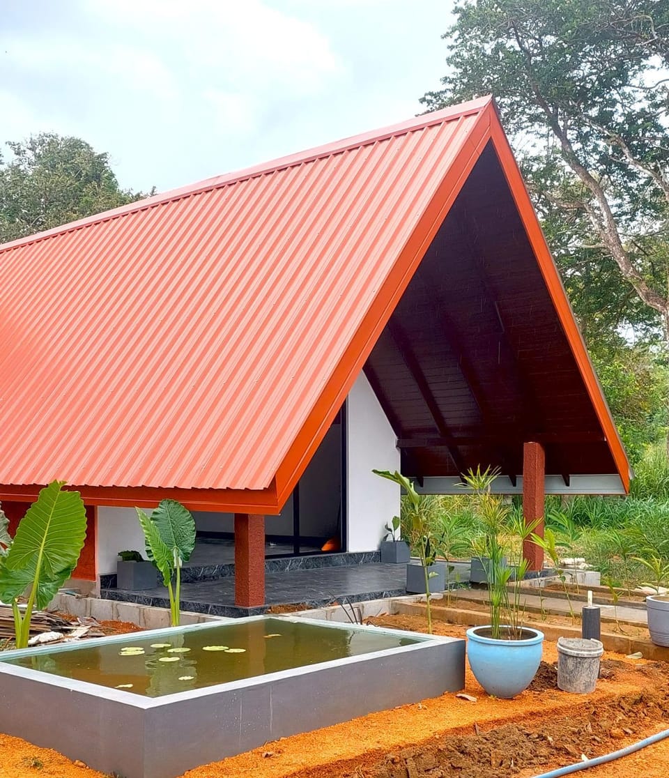 Property building, Day, Garden